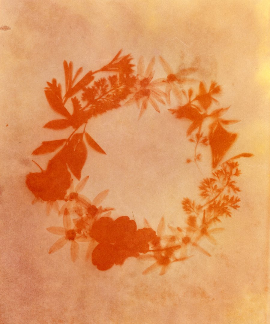 Anthotypes: Printing with Spices and Plants image