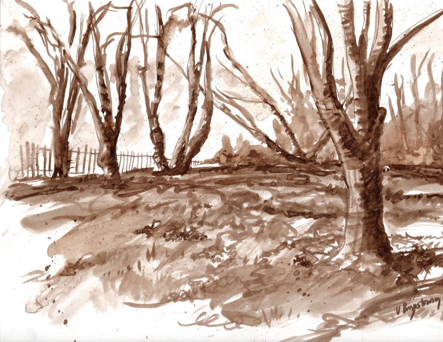 Drawing with Walnut Ink: Online Class image